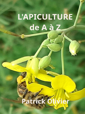 cover image of L'Apiculture de a à Z
